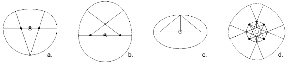 Examples of Thom's Designs
