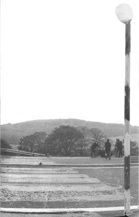 The Zebra Crossing Tarred Over